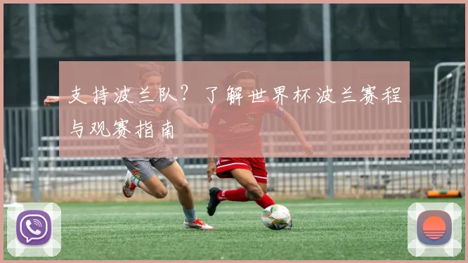 支持波兰队？了解世界杯波兰赛程与观赛指南
