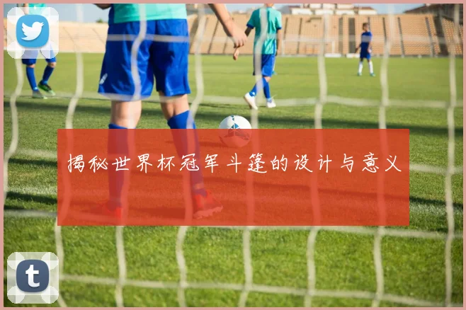 揭秘世界杯冠军斗篷的设计与意义