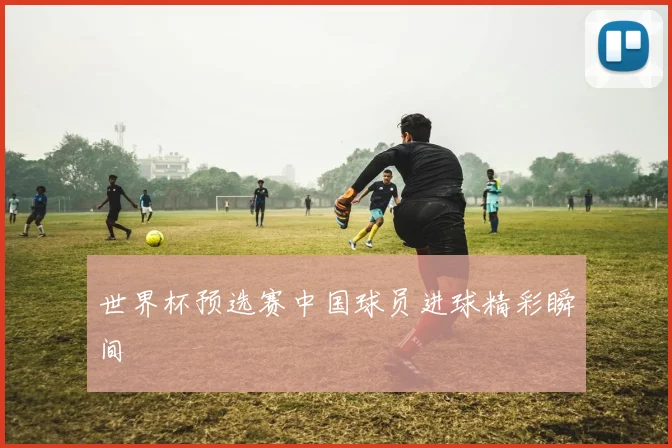 世界杯预选赛中国球员进球精彩瞬间